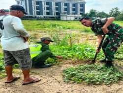 Pimpin Pelaksanaan Pemeliharaan Tanaman Pohon, Danramil 01/Laweyan Terjun Langsung Ke Lapangan