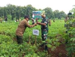 JAGA KELESTARIAN HUTAN, KORAMIL 0805/07 NGRAMBE BERSAMA PERHUTANI MELAKUKAN GERAKAN MENANAM POHON