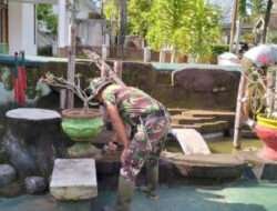 Benahi Pangkalan, Koramil 0801/01 Pacitan Ciptakan Lingkungan Bersih, Indah Dan Nyaman