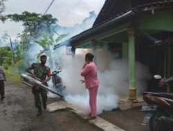 Cegah Penyakit Demam Berdarah, Babinsa Kodim 0802 Adakan Penyemprotan Fogging di Desa Binaan