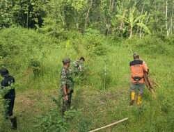 Peduli Akan Kelestarian Alam, Anggota Koramil Bersama Relawan Tanam Puluhan Bibit Pohon