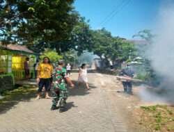 Cegah Demam Berdarah, Babinsa Ngrambe Bersama Petugas Kesehatan Lakukan Fogging