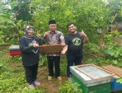 Giat Peternak Domba dan Lebah di Gresik