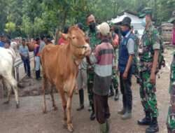 Dandim Ngawi Tinjau Pelaksanaan Penanganan Vaksin PMK di Pasar Hewan Ngawi