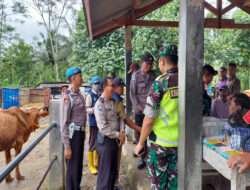 Cegah PMK, Babinsa Koramil 0801/10 Punung Bersama Dinas Peternakan Lakukan Pendataan Hewan