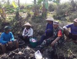 Dengan Komsos, Babinsa Motivasi Petani Binaan