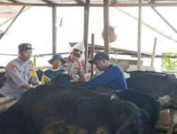 Cegah PMK, Polres Ponorogo Bantu Kelancaran Vaksinasi Ternak