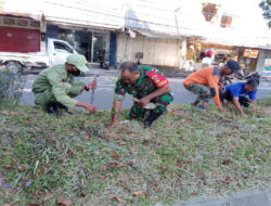 Babinsa Kemlayan Bersama Warga Tanam Pohon Mangga Madu