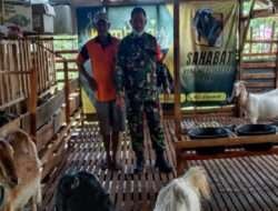 Babinsa Motivasi Peternak Dukung peningkatan Kesejahteraan Masyarakat