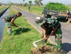 Peduli Lingkungan, Koramil Gending Tanam Bibit Pohon