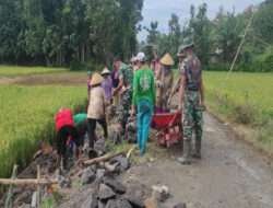 Babinsa Koramil Simo Ikut Bangun Infrastruktur Desa