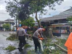 Sigap, Polisi Tangani Pohon Tumbang di Jagalan, Lalulintas Trenggalek – Ponorogo Kembali Normal