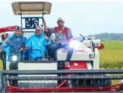 Mentan Panen Raya Padi di Lamongan, Pastikan Ketersediaan Pangan Aman