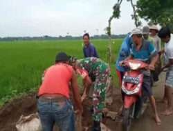 Sinergi TNI Bersama Rakyat, Babinsa Koramil Pangkur Karya Bakti Perbaiki Jalan Rusak