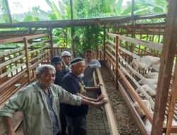 Hotel Domba Bintang 5 Ala Koperasi Produsen Serambi Indonesia Madani