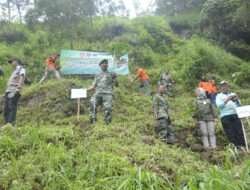 Jaga Kelestarian Alam, Kodim Boyolali Lakukan Reboisasi Lereng Gunung Merbabu
