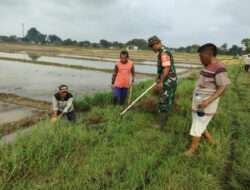 Serka Sugeng bantu petani desa Pengkol Gropyokan tikus