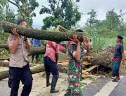 Respon Cepat Polisi Bersama TNI dan BPBD Tangani Pohon Tumbang, Lalulintas Kembali Normal