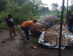 Polres Jombang Bongkar Perjudian Sabung Ayam, Dua Pelaku Ditangkap