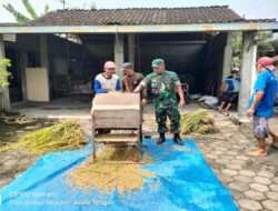 Dukung Ketahanan Pangan, Babinsa Bersama PPL Distan Nogosari Laksanakan Pengubinan