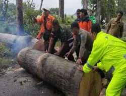 Gercep, Polisi Bersama TNI dan BPBD Evakuasi Pohon Tumbang, Akses Jalan Kembali Lancar