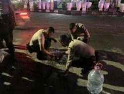 Beri Rasa Aman dan Nyaman ke Pengendara, Polres Gresik Menambal Jalan Berlubang Antisipasi Kecelakaan