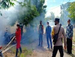 Cegah Demam Berdarah, Babinsa Karangjati Bersama Dinas Kesehatan Lakukan Fogging