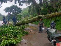 Anggota Kodim 0802/Ponorogo Amankan Pohon Tumbang yang Menutup Akses Jalan Wisata Ngebel