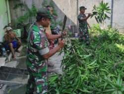 Sayuk Rukun Penuh Kekompakan Babinsa Bantu Warga Tebang Pohon