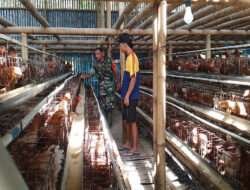 Tingkatkan Ekonomi Rakyat, Babinsa Komsos Dengan Pelaku UMKM Ayam Petelur