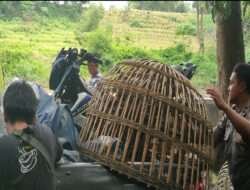 Tindaklanjuti Keluhan Warga Saat Jumat Curhat, Polres Mojokerto Hentikan Judi Sabung Ayam