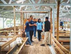 Dompet Dhuafa Jatim dan YBM BRILiaN RO Malang Launching Program BRILiaN Farm