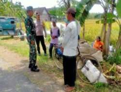 Capai Swasembada Pangan, Babinsa Karangjati Optimalkan Petani Padi