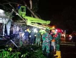 Tanggap Bencana, Babinsa Sambi Gotong Royong Singkirkan Pohon Tumbang