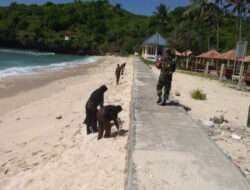 Wujud Kecintaan Kepada Alam, Babinsa Koramil 0801/12 Pringkuku Gelar Aksi Sosial Bersihkan Pantai