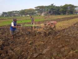 Percepat Masa Tanam, Kodim 0801/Pacitan Dampingi Petani Olah Lahan Pertanian