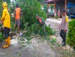 Bergerak Cepat, Babinsa Bersama Instansi Terkait Evakuasi Warga Akibat Hujan Deras Disertai Angin