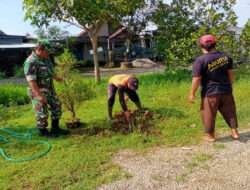 Babinsa Kodim 0802/Ponorogo Adakan Penghijauan Lingkungan Bersama Warga Desa Binaan