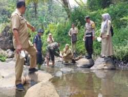 Babinsa Kebonharjo Tebar Benih Ikan di Aliran Sungai
