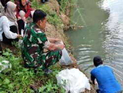 Babinsa Sendangsari Tebar Benih Ikan di Sungai Serang