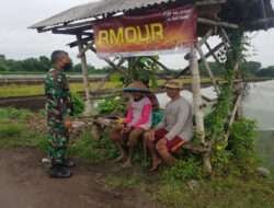 Sukseskan Swasembada Pangan, Koramil Maron Motivasi Petani