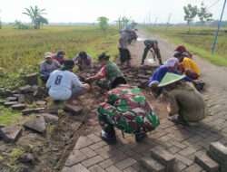 Bersama Warga, Anggota Koramil Kwadungan Gotong-Royong Pasang Paving