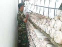 Koramil Besuk Bantu Pembudidayaan Jamur Tiram