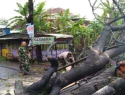 Babinsa dan Babinkamtibmas Evakuasi Pohon Tumbang