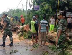 Dengan Sigap Babinsa Ngawi Tangani Pohon Tumbang, Akibat Hujan dan Angin Kencang
