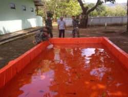 Sukseskan Program Ketahanan Pangan Tahun 2023, Kodim 0801/Pacitan Tabur Benih Ikan Nila