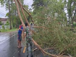 Babinsa Geneng Bersama Warga Evakuasi Pohon Tumbang Yang Menutupi Jalan Poros Geneng – Maospati