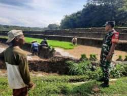 Komunikasi Sosial Senjata Paling Ampuh Seorang Babinsa Diwilayah