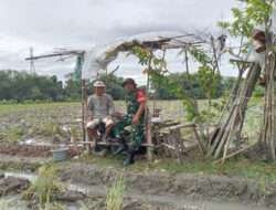 Serda Anang Sambangi Petani dengarkan kendala musim tanam di desa Kwarasan