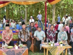 Cara Unik Warga Sedayulawas Brondong Ketupatan di Gunung Menjuluk